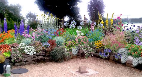 Un jardin fleuri avec une diversité de plantes sauvages et cultivées