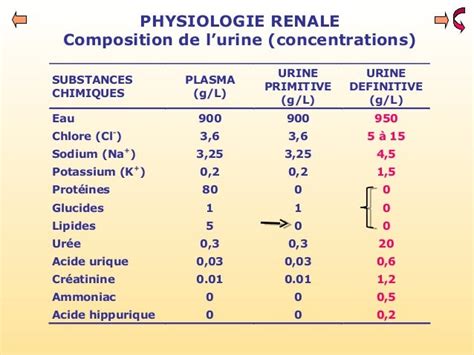 Composition chimique de l'urine