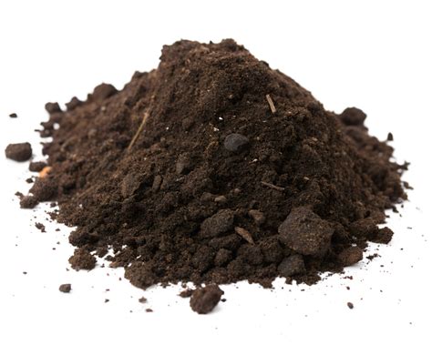 Schéma de rempotage : drainage et terreau adapté
