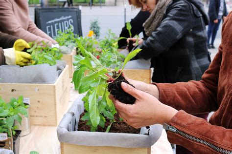 Atelier de jardinage en permaculture avec les jeunes du club nature