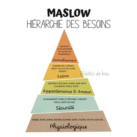 Illustration comparative des besoins en ensoleillement selon l'espèce de plante grimpante