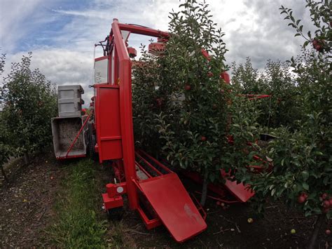 Divers types de machines de récolte de pommes à cidre