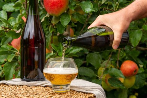 Système de tri mécanique des pommes à cidre