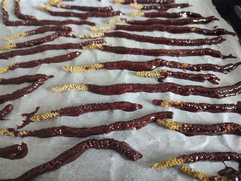 Chatons de noisetier enrobés de chocolat sur une plaque