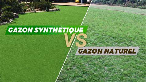 Comparaison entre gazon naturel et synthétique