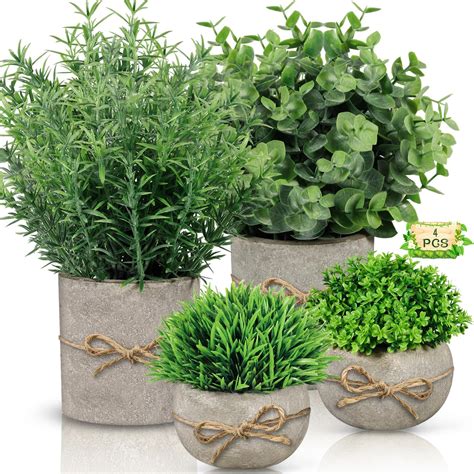 Matériaux pour plantes grasses artificielles