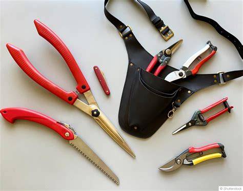 Illustration des outils de taille nécessaires pour l'hibiscus