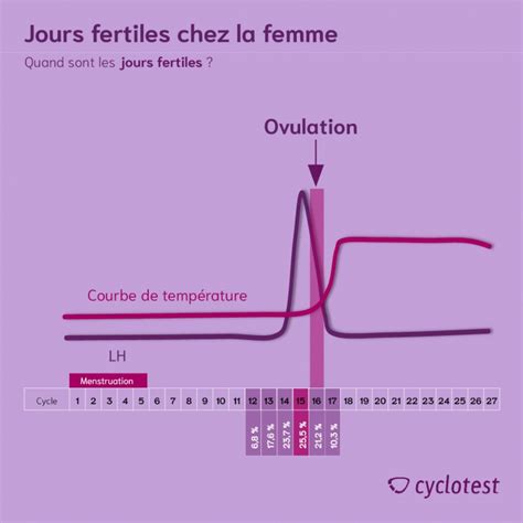 Graphique montrant la fenêtre de fertilité avec la durée de vie des spermatozoïdes et de l'ovule