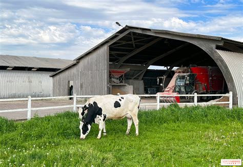 Diversité des produits dans une ferme de cueillette en Seine-et-Marne