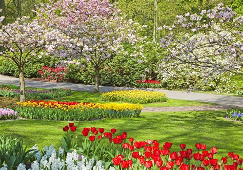 Fertilisation du jardin au printemps