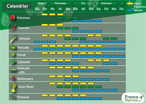 Exemple de calendrier de semis sous serre