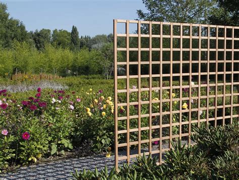 Treillis en bois avec rosier grimpant