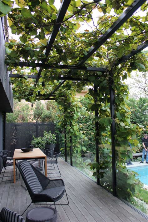 Pergola couverte de plantes grimpantes
