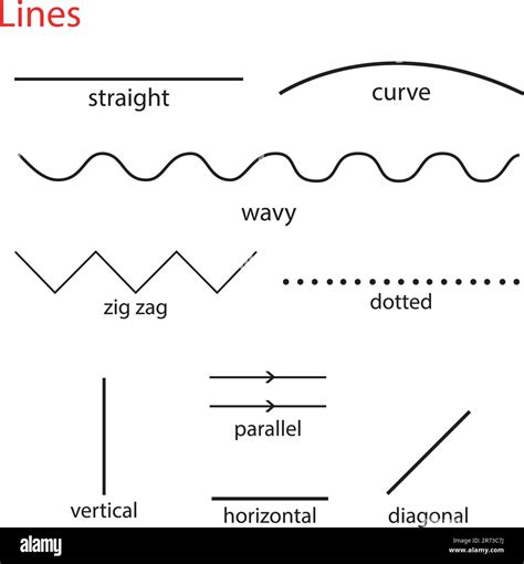 Illustration des différents types de tracés : lignes, volutes et lettrage