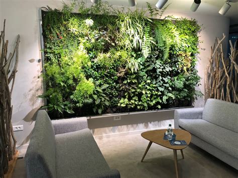 Mur végétal intérieur