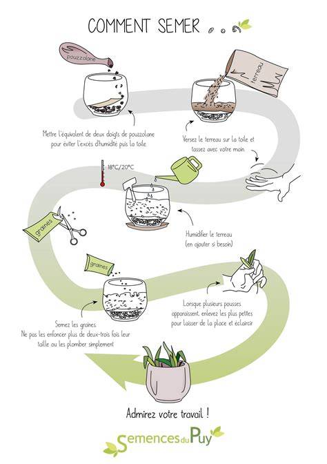 schéma explicatif pour le semis en pot de graines d'ortie