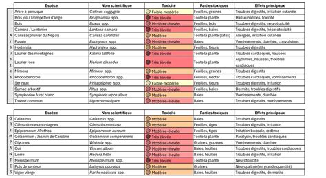 Tableau comparatif des symptômes de phytotoxicité selon les substances actives