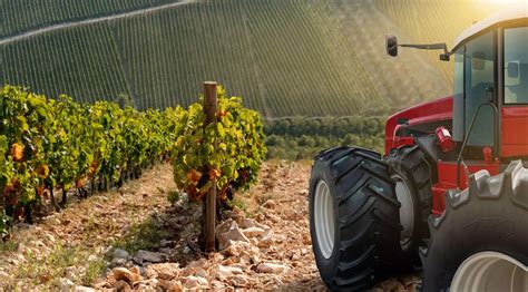 Vignoble et tracteur viticole en action