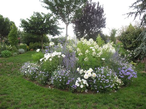Un jardin paysager mettant en valeur un althéa en fleurs au milieu d'un massif estival
