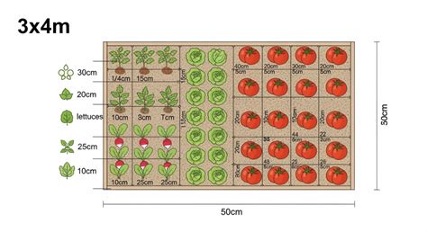Plan de potager illustrant les zones d'ensoleillement et les accès