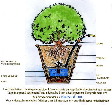 Schéma illustrant le drainage correct d'un pot et la technique d'arrosage par capillarité