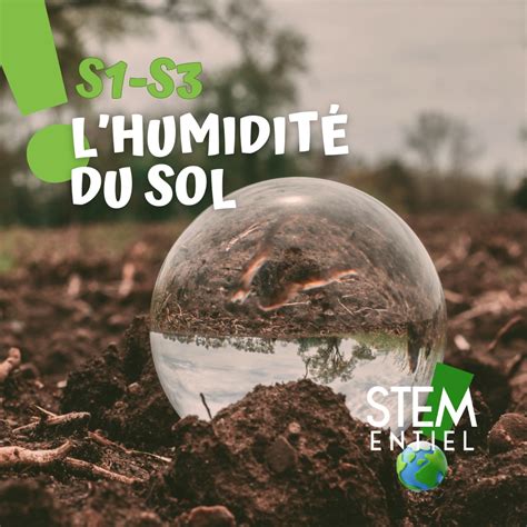 Illustration montrant le bon niveau d'humidité du sol pour un Ficus