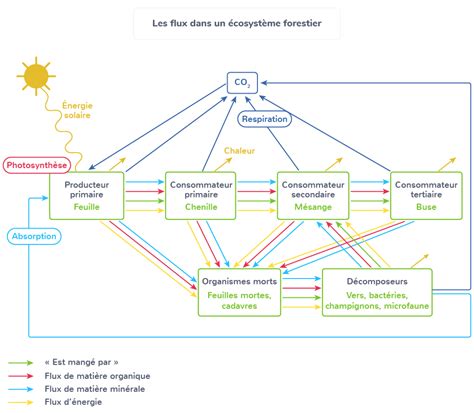 Schéma simplifié du flux d'énergie dans un outil électroportatif