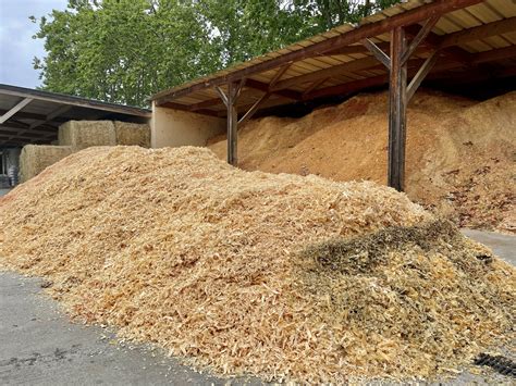 Processus de chargement des copeaux de bois générés par le mod