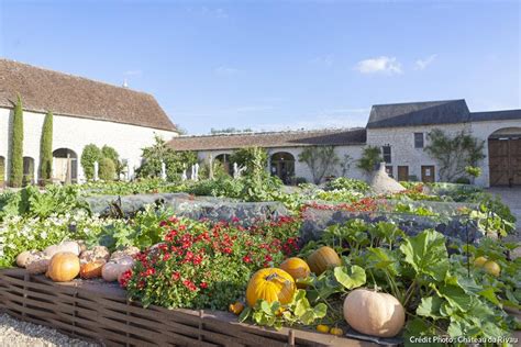 Vue panoramique des jardins potagers de la Happy Farm au Village des Pruniers