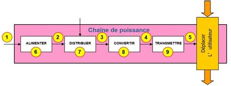 Schéma de la chaîne post-récolte des pois