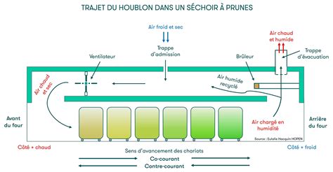 Schéma d'un séchoir à tunnel pour les pois