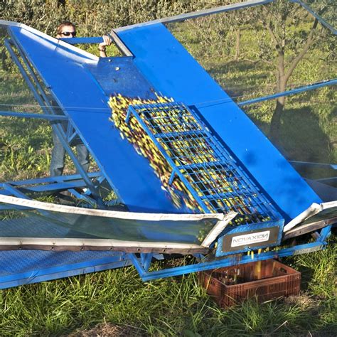 Nacelle de récolte d'olives