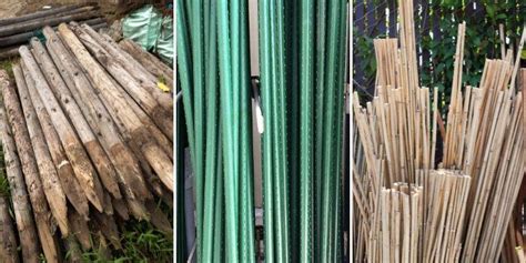 Illustration comparative de différents types de tuteurs (bois, métal, plastique)