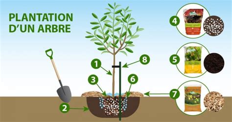 Image d'une plantation avec des accessoires techniques et des tuteurs