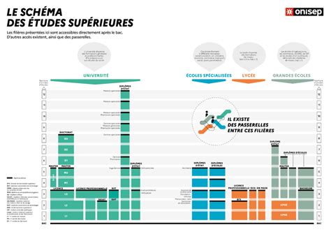 Infographie comparant les trois parcours de spécialisation du Master