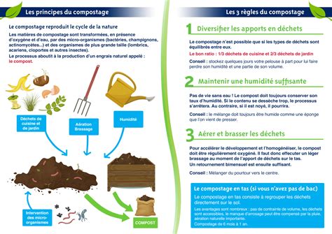 Schéma illustrant le cycle du compostage naturel