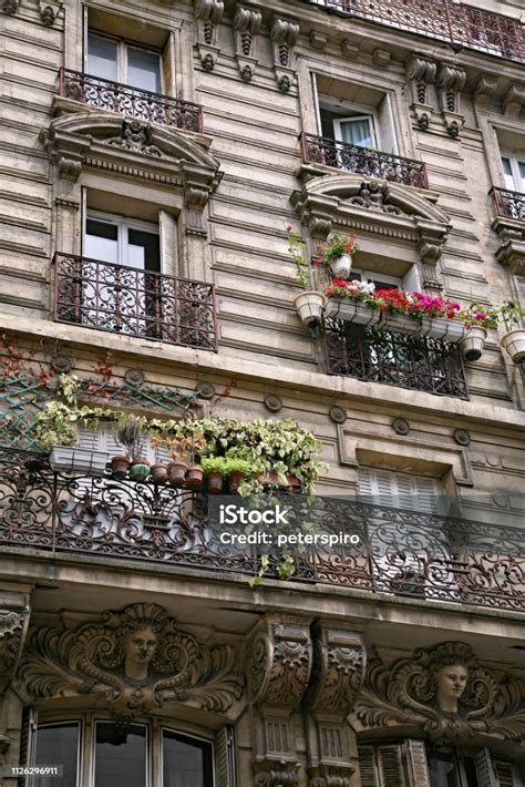 Schéma d'organographie végétale typique du XIXe siècle
