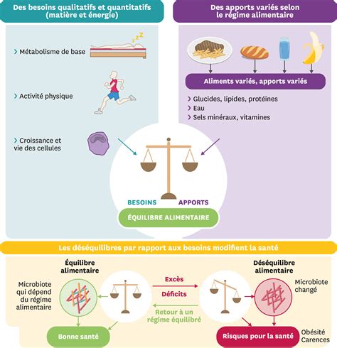 Schéma illustrant l'équilibre entre la scolarité et l'entraînement sportif