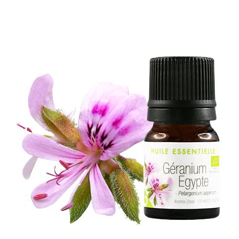 flacon d'huile essentielle de Géranium d'Egypte et fleurs de la plante