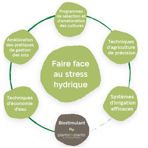 Schéma conceptuel illustrant les interactions entre le stress hydrique et la santé des arbres en forêt