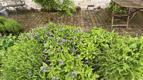 Un jardin littéraire au printemps, avec des bancs en pierre et des parterres fleuris
