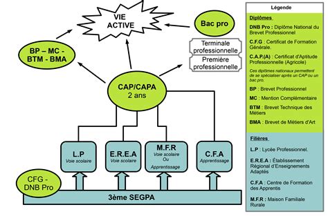 Schéma conceptuel de l'ingénierie pédagogique en SEGPA : articulation entre compétences du socle, savoirs horticoles et projets pratiques
