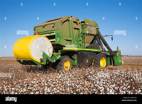 Machine à récolter le coton dans un champ