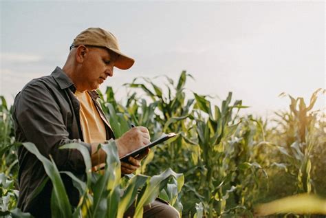 Ingénieur agronome examinant des échantillons de sol