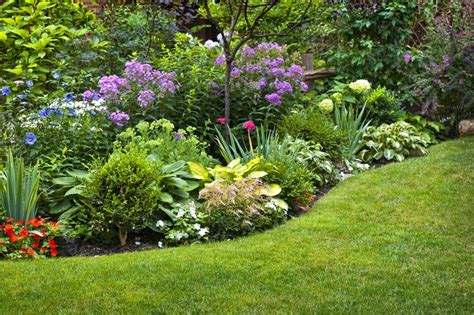 jardin propre et bien entretenu avec des massifs de fleurs sans mauvaises herbes