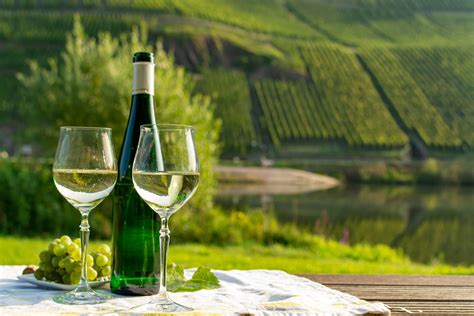 Dégustation de vins d'Alsace
