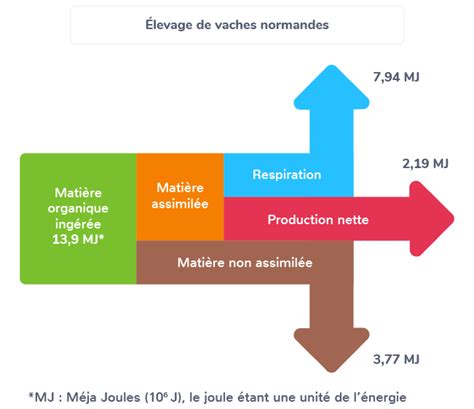 Schéma de calcul du rendement agricole