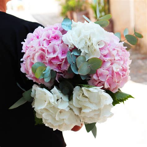 Bouquet d'hortensias aux couleurs variées