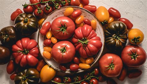 Composition de graines de différentes variétés (haricots, maïs, tomates) montrant la diversité de formes et de couleurs