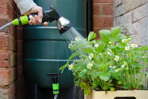 Arrosoir, goutte-à-goutte, récupérateur d'eau de pluie